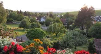 von_poll_real_estate_property_25011036_image_9