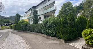 von_poll_real_estate_property_25011025_image_1