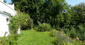 von_poll_real_estate_property_26011001_image_24