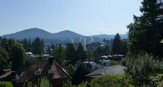 von_poll_real_estate_property_26011001_image_21