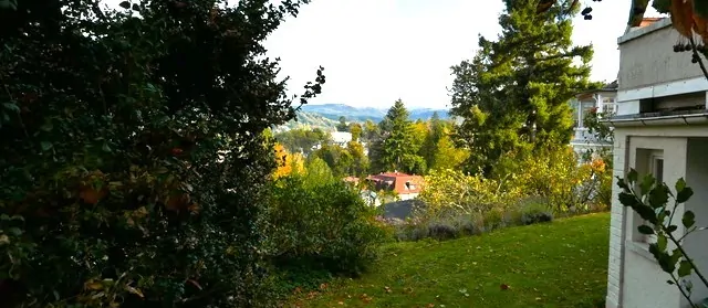 Schwarzwaldblick