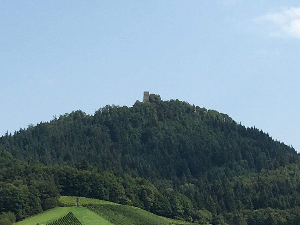 Ausblick