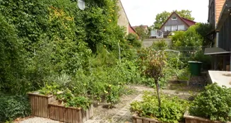 von_poll_real_estate_property_23011037_image_11