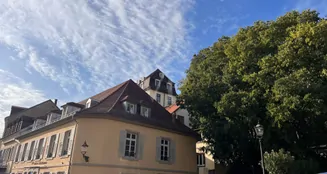 von_poll_real_estate_property_23011049_image_1