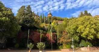 von_poll_real_estate_property_23011049_image_3