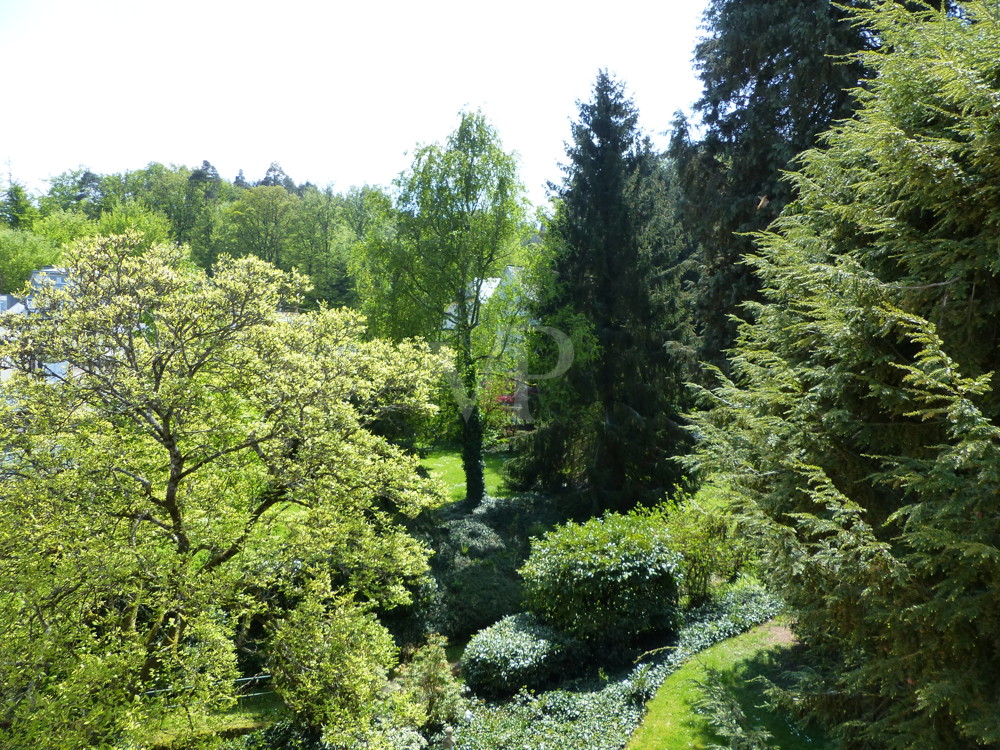 Blick in den Park