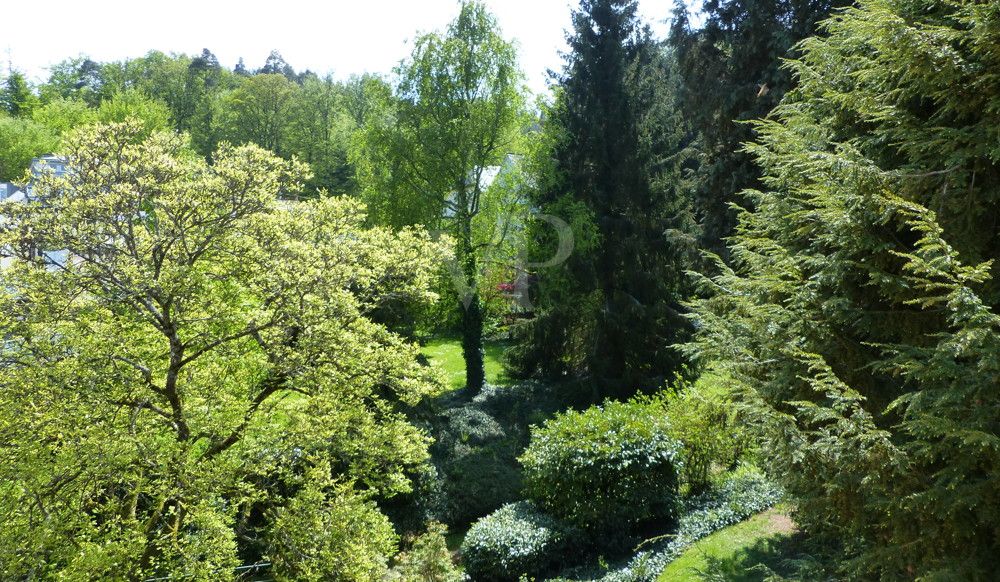 Blick in den Park
