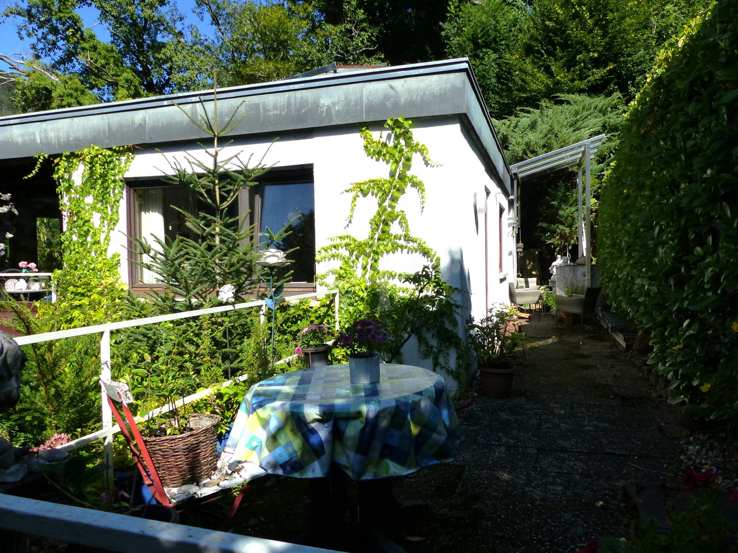 Terrasse und Eingangsbereich