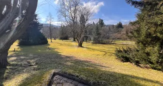 von_poll_real_estate_property_25011002_image_4