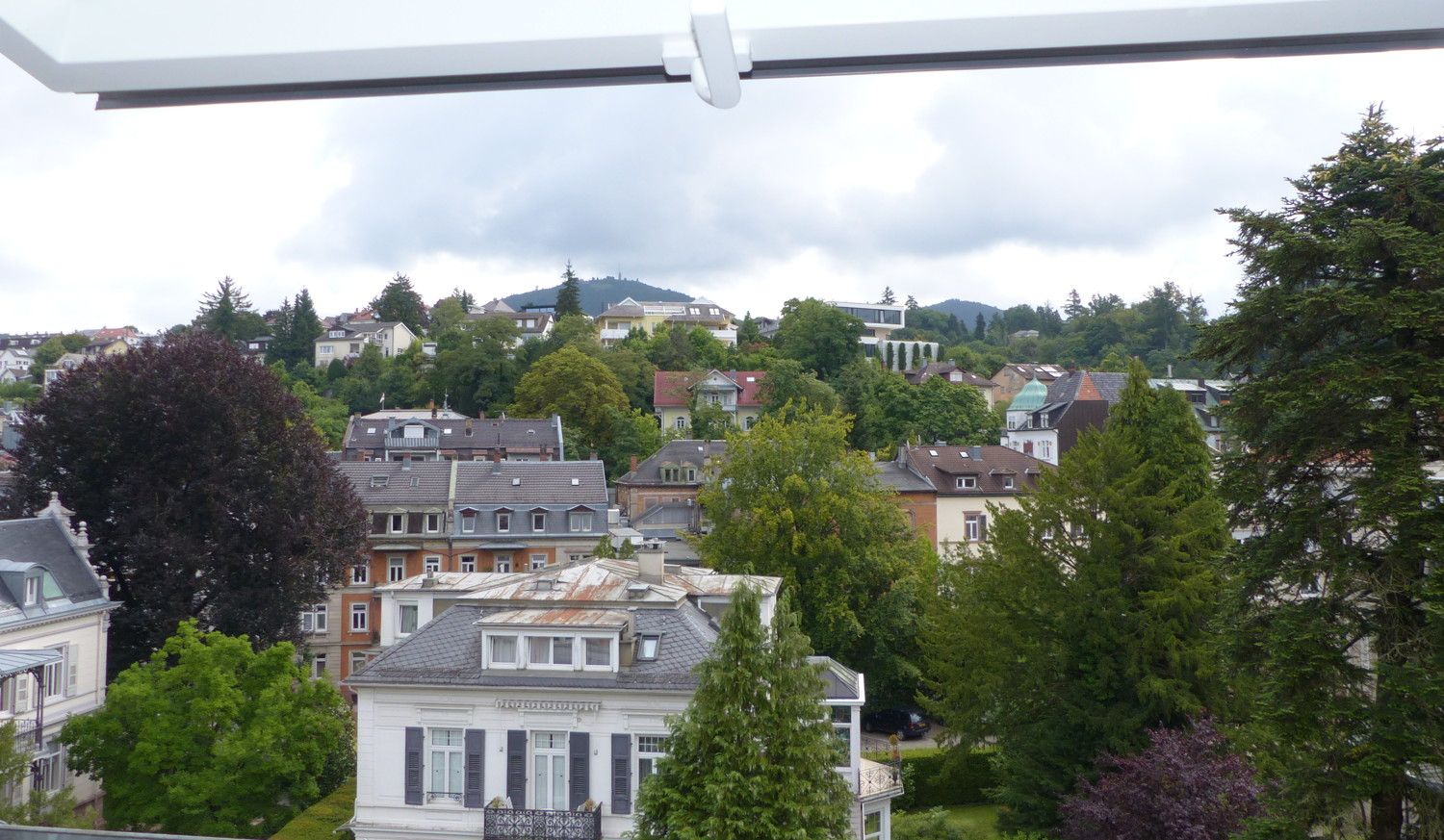 Blick ins Grüne