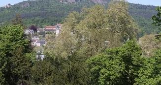 von_poll_real_estate_property_25011033_image_2