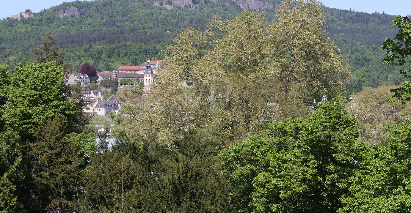 Ausblick von Dachterrasse