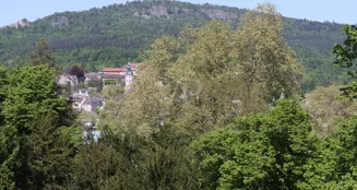 von_poll_real_estate_property_25011033_image_2