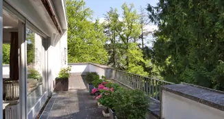 von_poll_real_estate_property_25011033_image_7