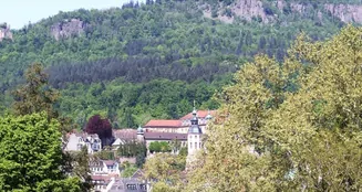 von_poll_real_estate_property_25011033_image_0