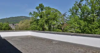 von_poll_real_estate_property_25011033_image_3