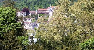von_poll_real_estate_property_25011033_image_1