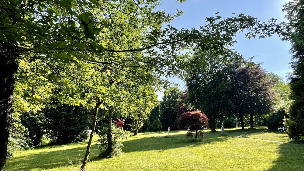 Park