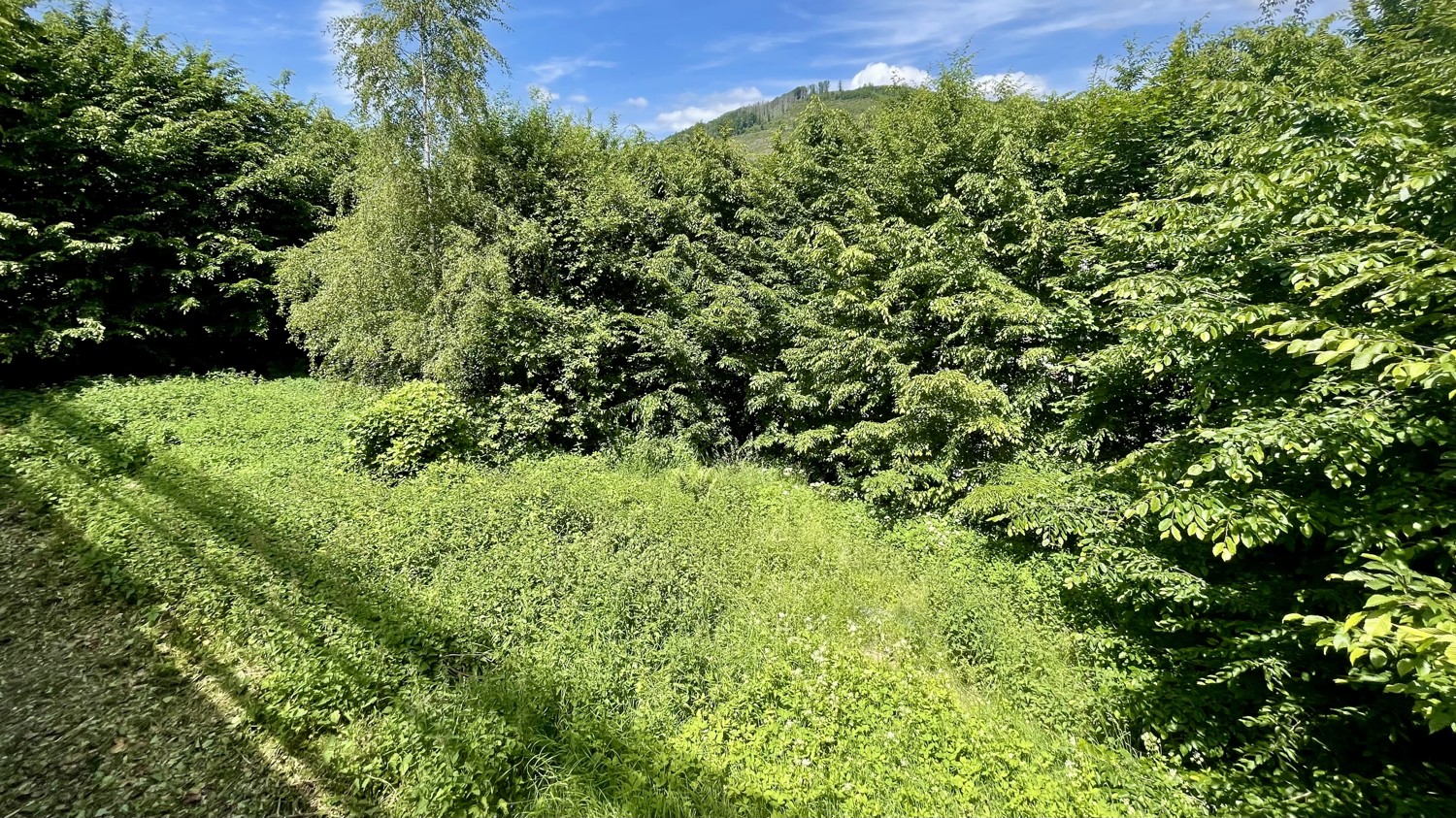 Blick vom Balkon