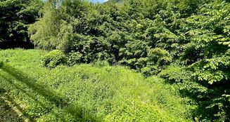 von_poll_real_estate_property_24039013_image_23