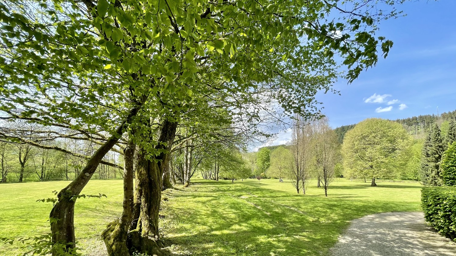 Schlosspark