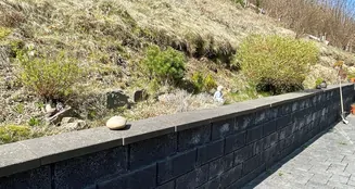 von_poll_real_estate_property_25039003_image_18