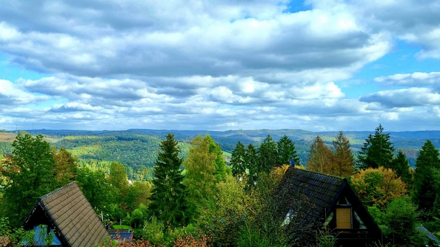 Nurdachhaus im Grünen