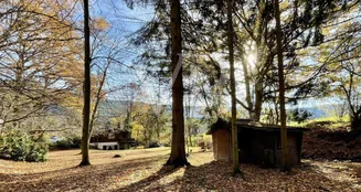 von_poll_real_estate_property_25039026_image_17