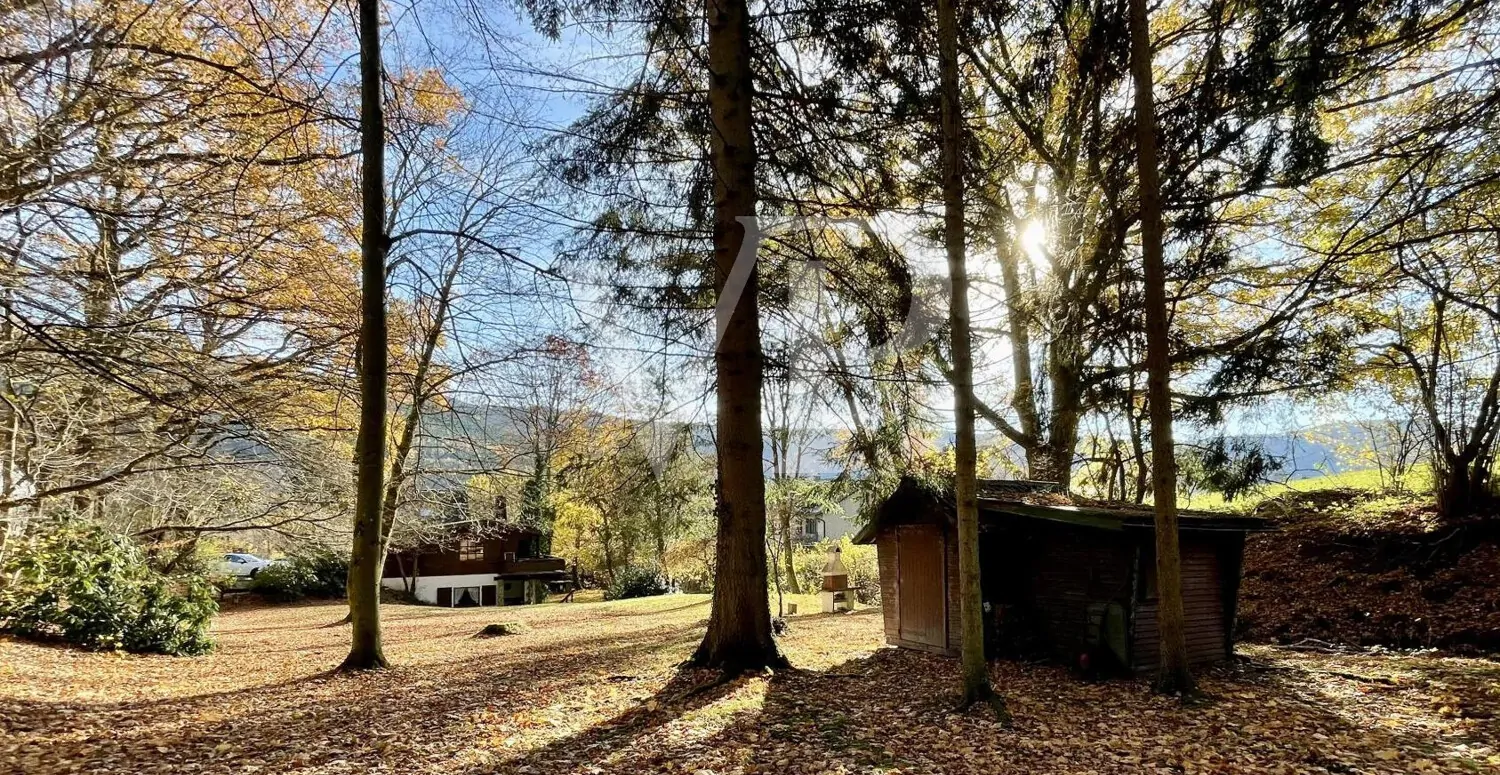 Außengelände mit Grillplatz