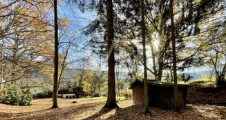 von_poll_real_estate_property_25039026_image_16