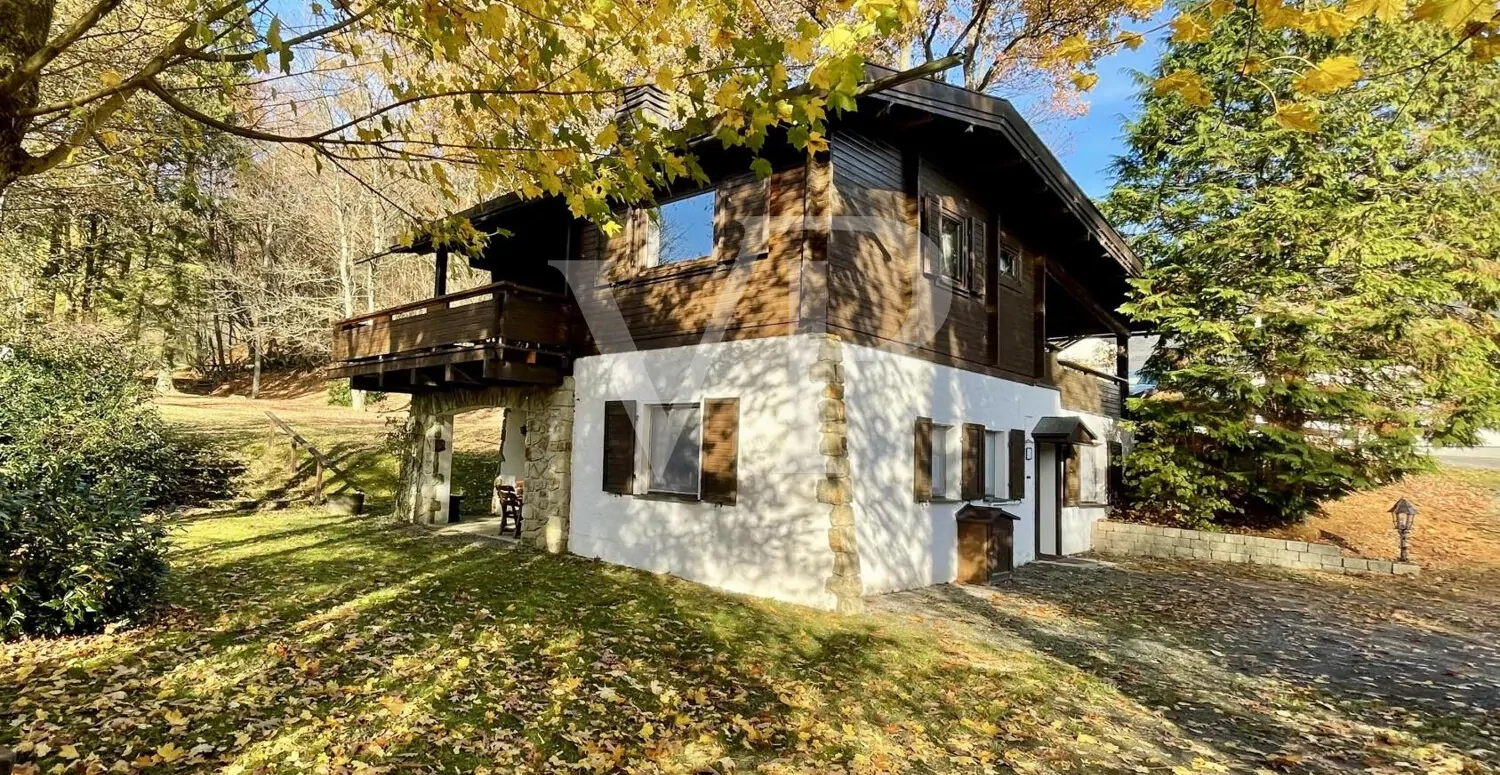 Titelbild ohne Brandingchen