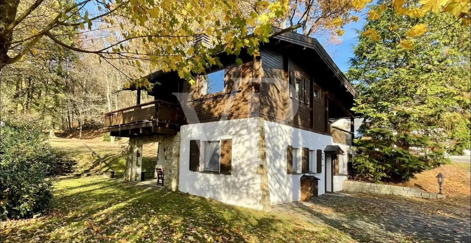 Titelbild mit Branding