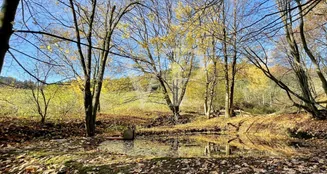 von_poll_real_estate_property_25039026_image_20