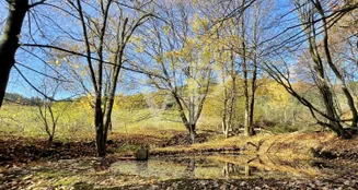 von_poll_real_estate_property_25039026_image_19