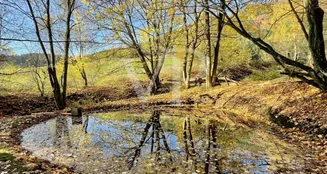 von_poll_real_estate_property_25039026_image_21