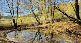 von_poll_real_estate_property_25039026_image_20