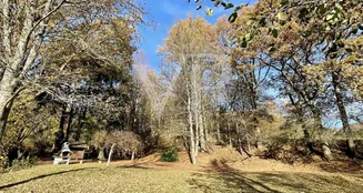 von_poll_real_estate_property_25039026_image_19