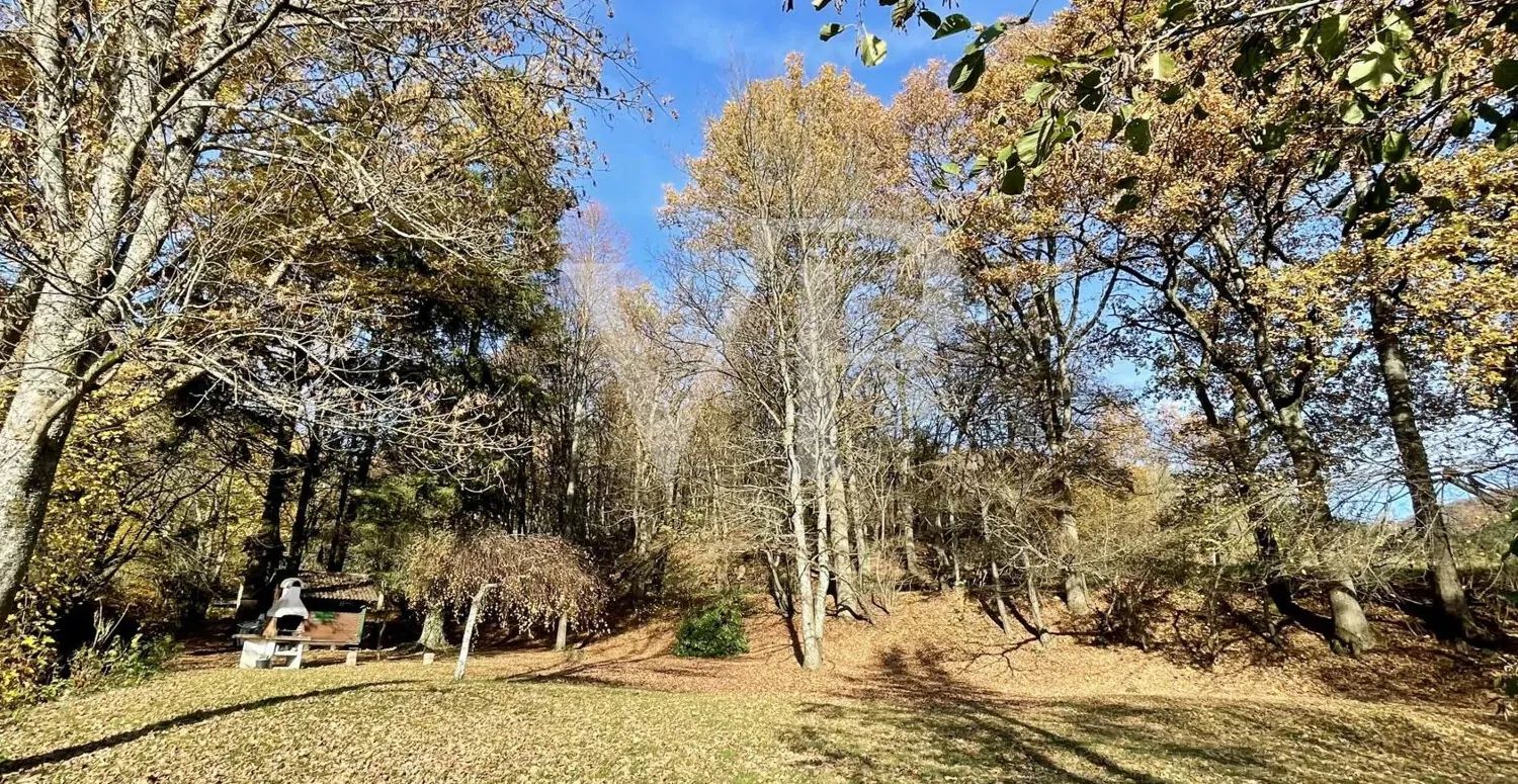 Chalet en rondins en bordure de forêt, sur une très grande propriété avec étang et ruisseau.