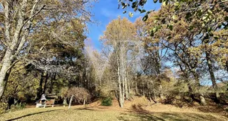 von_poll_real_estate_property_25039026_image_18