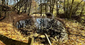 von_poll_real_estate_property_25039026_image_22