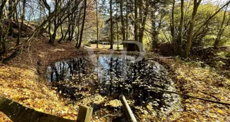 von_poll_real_estate_property_25039026_image_21