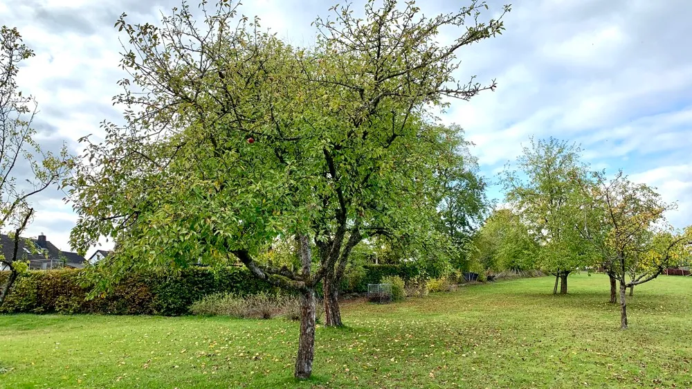 Gartenansicht