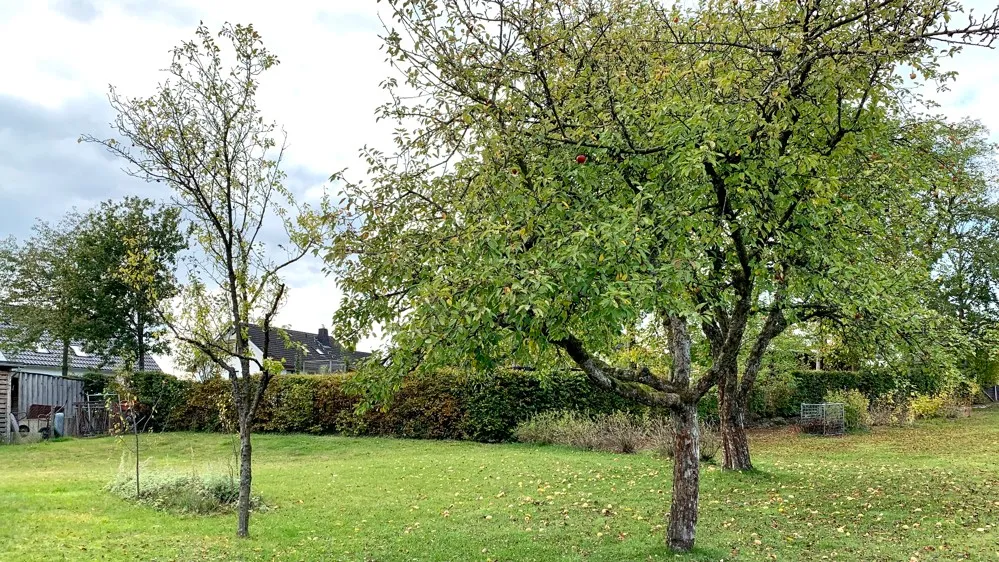 Gartenansicht