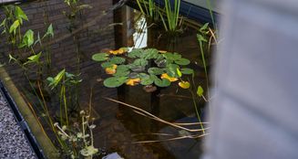 von_poll_real_estate_property_25211048_image_12