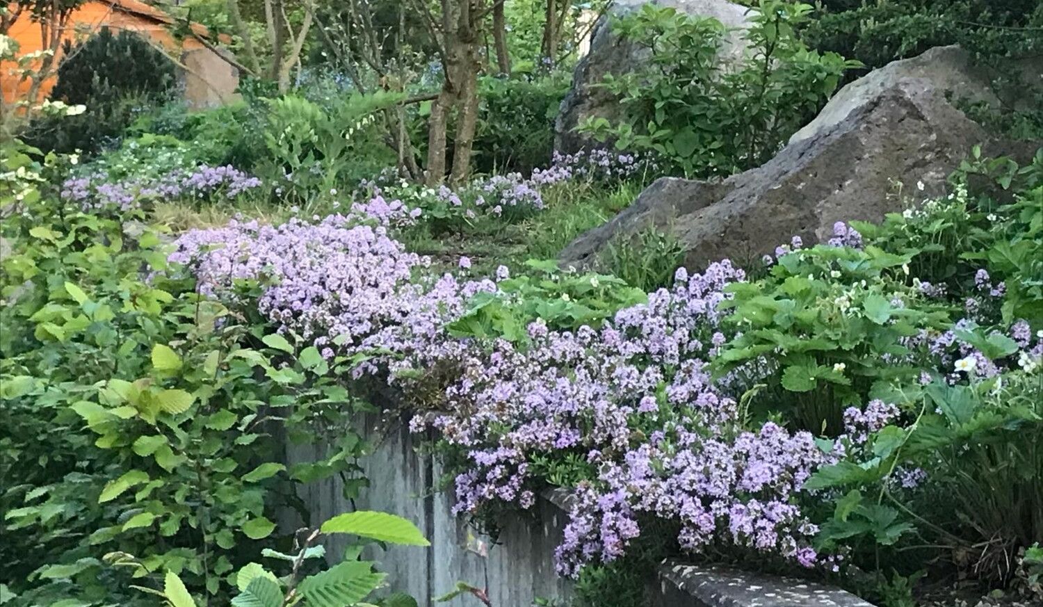 Impressionen