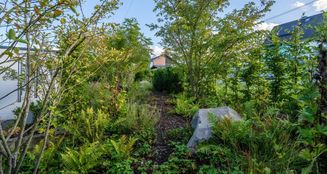 von_poll_real_estate_property_25211048_image_15