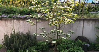 von_poll_real_estate_property_25211048_image_17