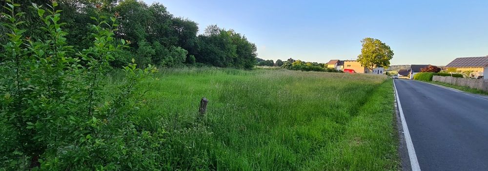 Impressionen