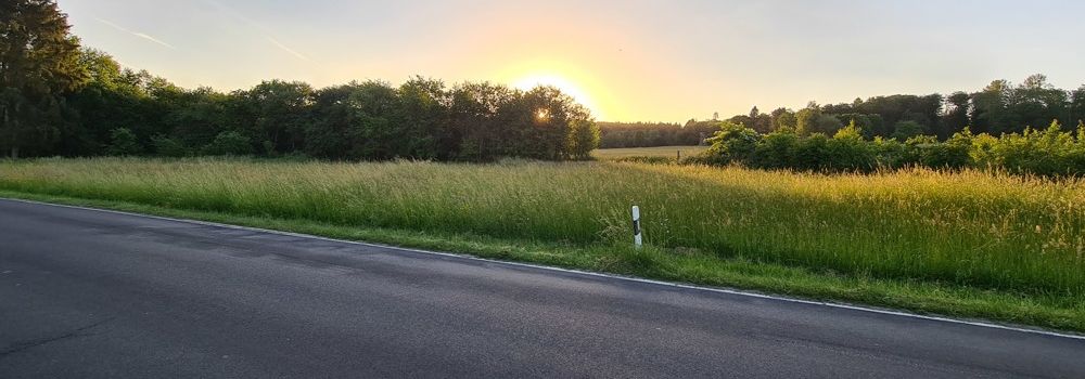Impressionen