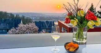 von_poll_real_estate_property_25014114_image_0